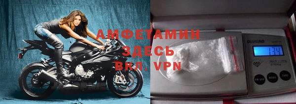шишки Лабытнанги
