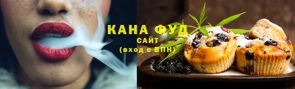 шишки Лабытнанги