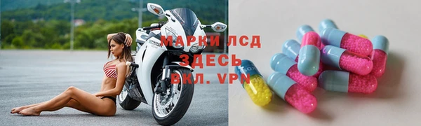 ПСИЛОЦИБИНОВЫЕ ГРИБЫ Липки