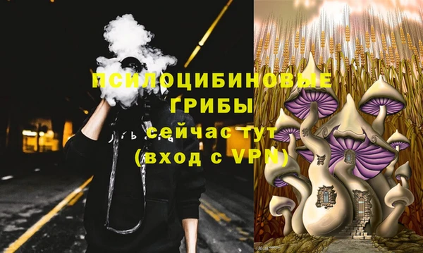 скорость Ладушкин