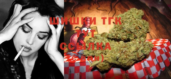 скорость Ладушкин