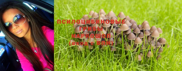 скорость Ладушкин