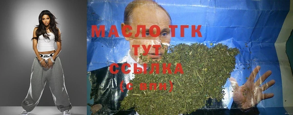 шишки Лабытнанги