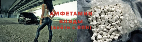 шишки Лабытнанги