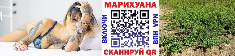 где можно купить наркотик  Мещовск  Марихуана планчик 